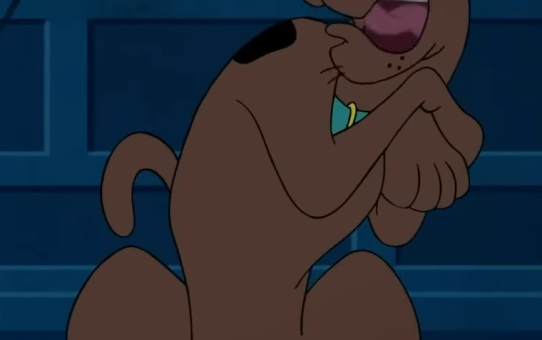 an apartment in Palermo