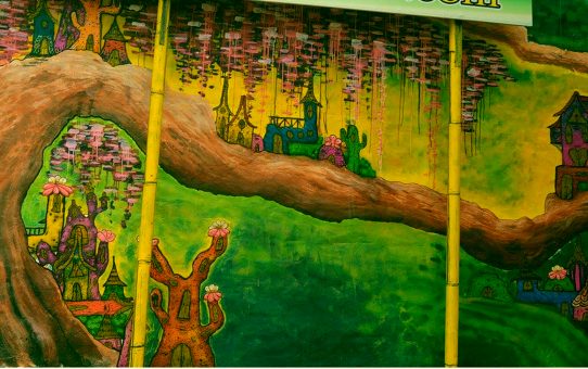 the side streets and the alley ways of Medellin